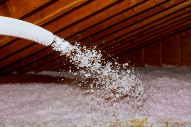 Best Insulation Removal  in Chester Heights, PA